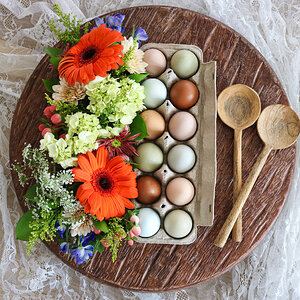 Natural Egg Photo Contest—16th Annual 7.jpg