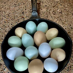Natural Egg Photo Contest—16th Annual 13.jpg