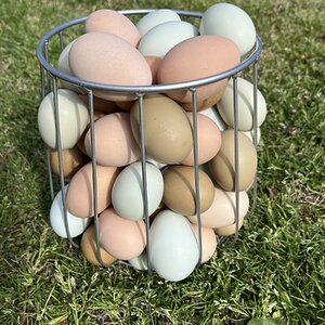 Natural Egg Photo Contest—16th Annual 29.jpg