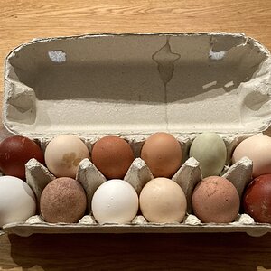 Natural Egg Photo Contest—16th Annual 37.jpg