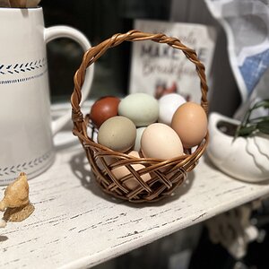Natural Egg Photo Contest—16th Annual 56.jpg