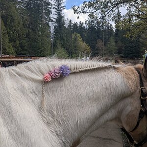 Amazing Easter Animal 17.jpg