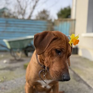 Amazing Easter Animal 20.jpg