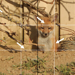 DSCN1170b.jpg