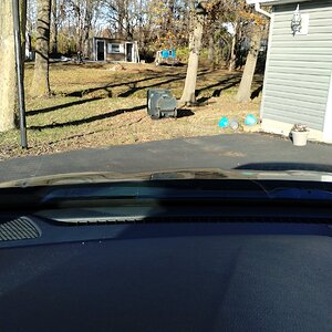Moved the Duck House from old home.