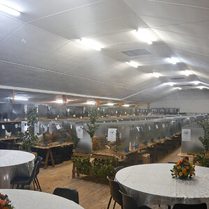 WCPC show 2025 - Part 1 Pic 6.jpg