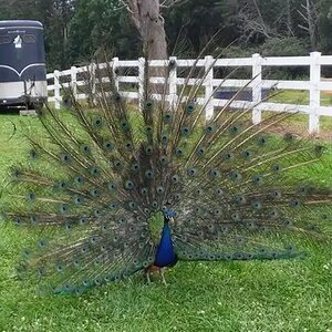 IMG_3998.jpeg