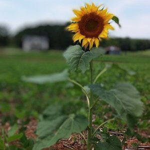 IMG_3990.jpeg