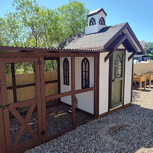 Large Chicken Coop and Run