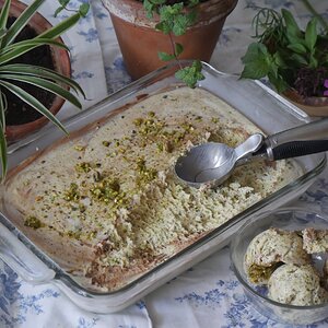 Pistachio ice cream .JPG