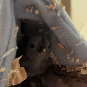 IMG_1476.jpeg