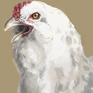 42.png
