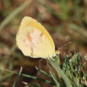 P1400224~2.JPG