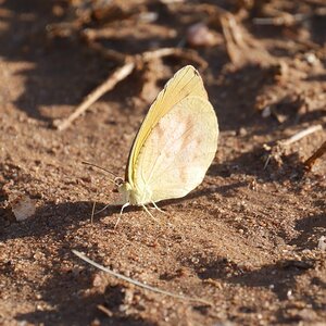 P1400209~2.JPG