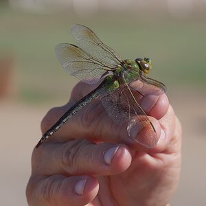 P1400317~2.JPG