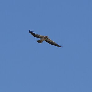 P1400381~2.JPG