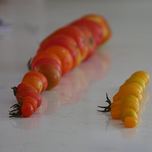 P1400437~2.JPG