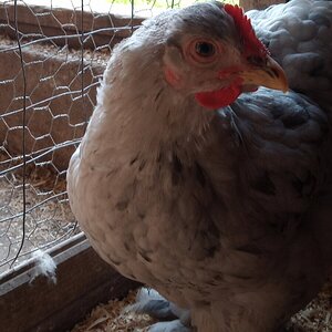 20250712_185203 (1) (1).jpg