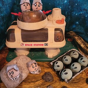 Fantastic Fall Fun Photo Contest—BYC's 2025 Spooktacular Halloween Hatch-Along 7.jpg