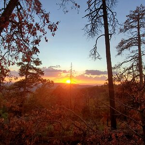 Fantastic Fall Fun Photo Contest—BYC's 2025 Spooktacular Halloween Hatch-Along 14.jpg