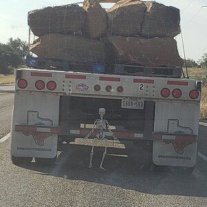 Fantastic Fall Fun Photo Contest—BYC's 2025 Spooktacular Halloween Hatch-Along 17.jpg