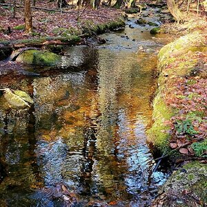 Fantastic Fall Fun Photo Contest—BYC's 2025 Spooktacular Halloween Hatch-Along 21.jpg