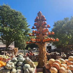 Fantastic Fall Fun Photo Contest—BYC's 2025 Spooktacular Halloween Hatch-Along 31.jpg