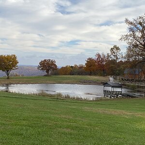 Fantastic Fall Fun Photo Contest—BYC's 2025 Spooktacular Halloween Hatch-Along 39.jpg