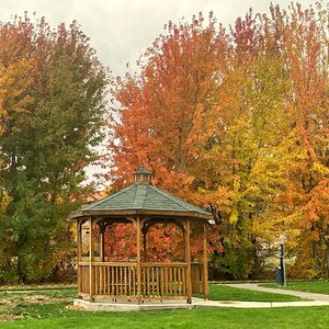 Fantastic Fall Fun Photo Contest—BYC's 2025 Spooktacular Halloween Hatch-Along 44.jpg