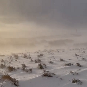 Snow Jan. 2024
