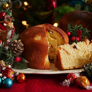 Panettone.JPG