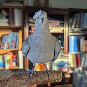 Media 'Alex.jpg' in album 'CC's photography and photos'