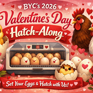 ChatGPT Image Jan 8, 2026, 03_56_05 PM.png