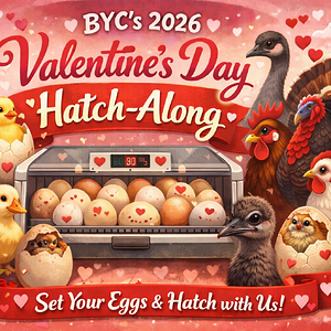 ChatGPT Image Jan 8, 2026, 04_09_02 PM.png