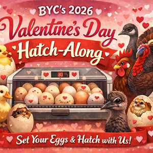 ChatGPT Image Jan 8, 2026, 04_17_36 PM.png