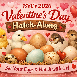 ChatGPT Image Jan 8, 2026, 04_37_54 PM.png