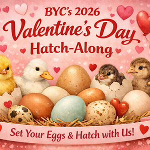 ChatGPT Image Jan 8, 2026, 04_40_24 PM.png