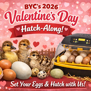 ChatGPT Image Jan 8, 2026, 05_12_59 PM.png