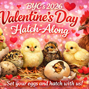 ChatGPT Image Jan 8, 2026, 07_20_50 PM.png