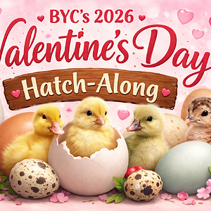 ChatGPT Image Jan 8, 2026, 08_44_04 PM.png