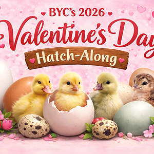 ChatGPT Image Jan 8, 2026, 10_12_48 PM.png