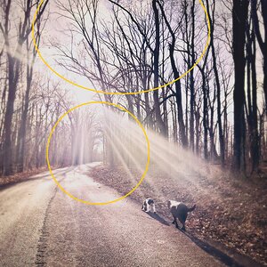 2026-01-12 Evadig 01.jpg