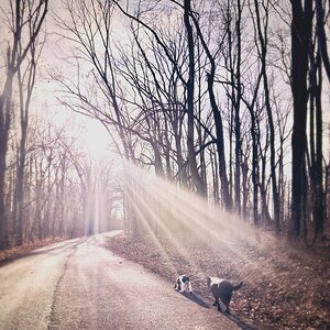 2026-01-12 Evadig 04.jpg