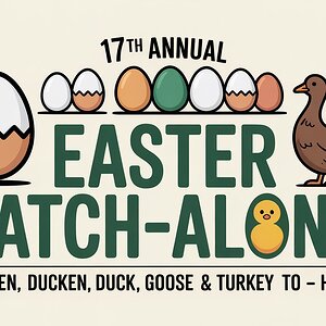 ideogram-v3.0_A_graphic_for_17th_Annual_BYC_Easter_Hatch-Along_._A_hatch-along_is_for_people_t...jpg