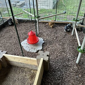 Omlet Run - Pole Tree