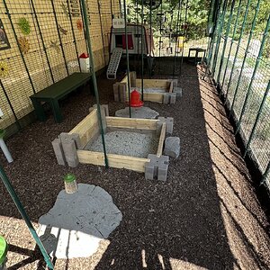 Omlet Run - View Towards the Coop