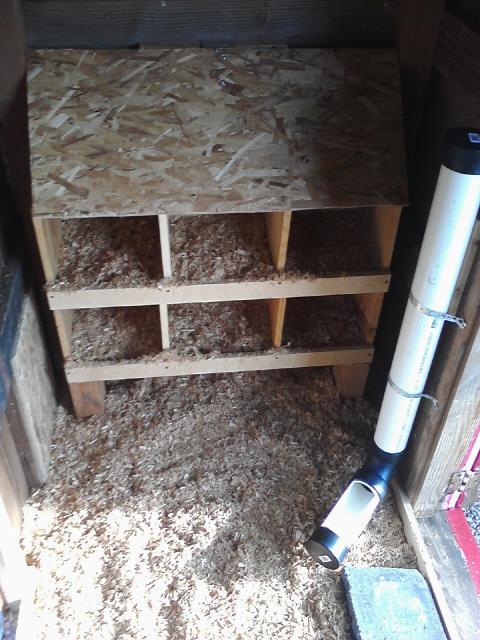 100009_nestingboxes_with_new_feeder.jpg