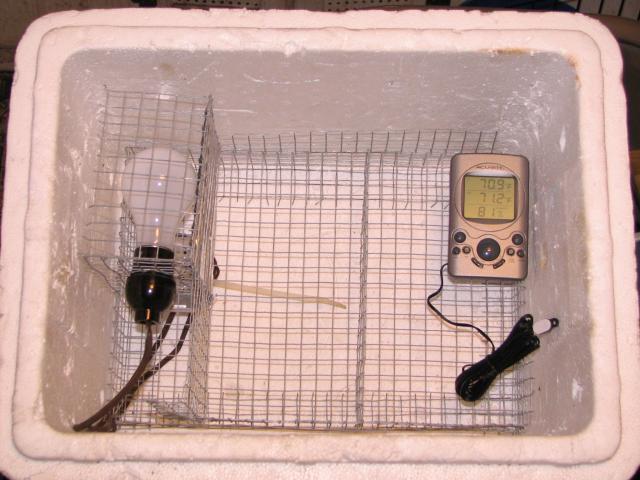 100050_inside.jpg