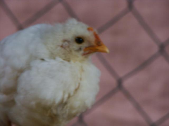 100130_018.jpg