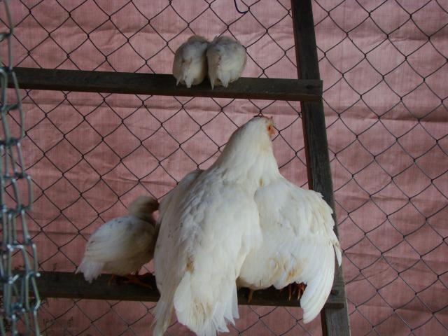 100130_035.jpg